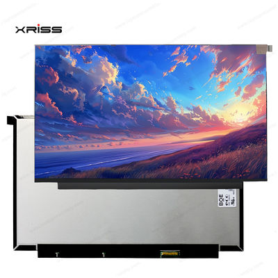 qualité  13.3 Inch Touch Screen For Lenovo ThinkBook 13x ITG Notebook PC Digitizer Assembly Replacement usine