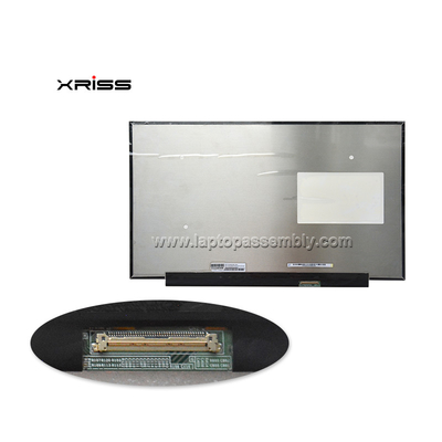 240 Hz 17,3